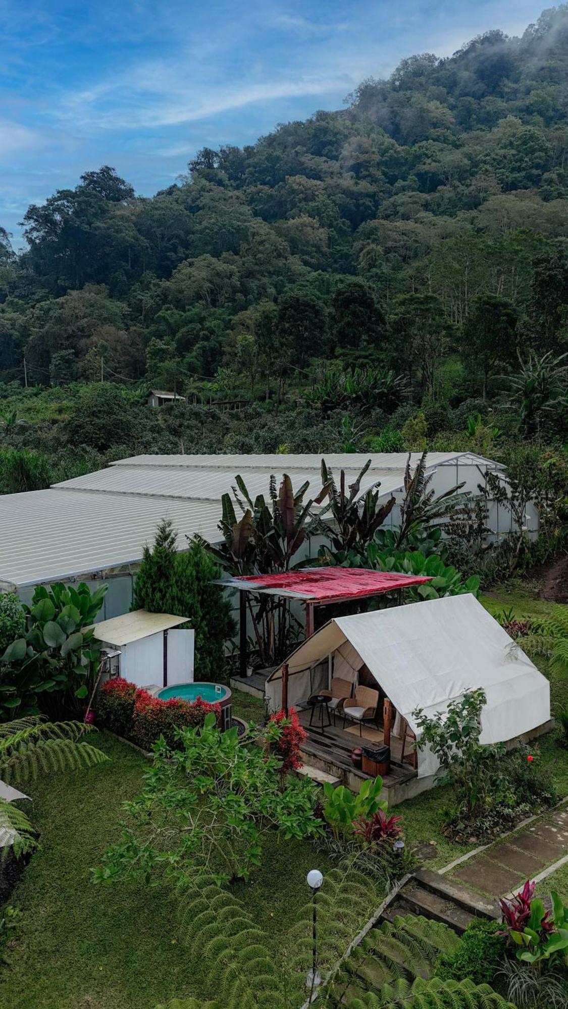 Alamu Eco Luxury tent