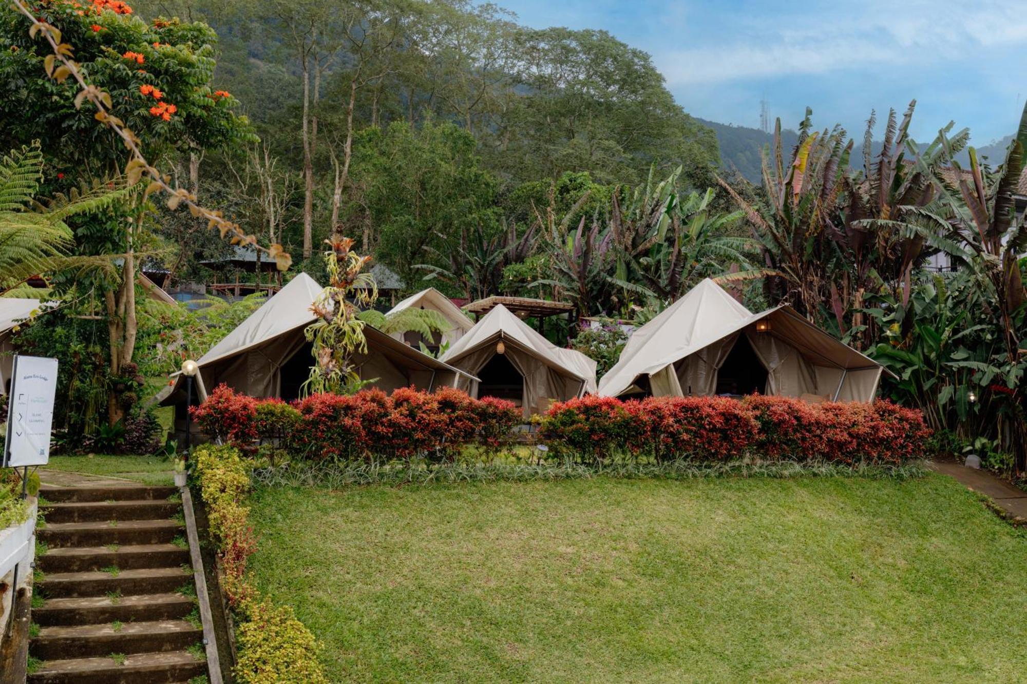 Luxury tent Alamu Eco
