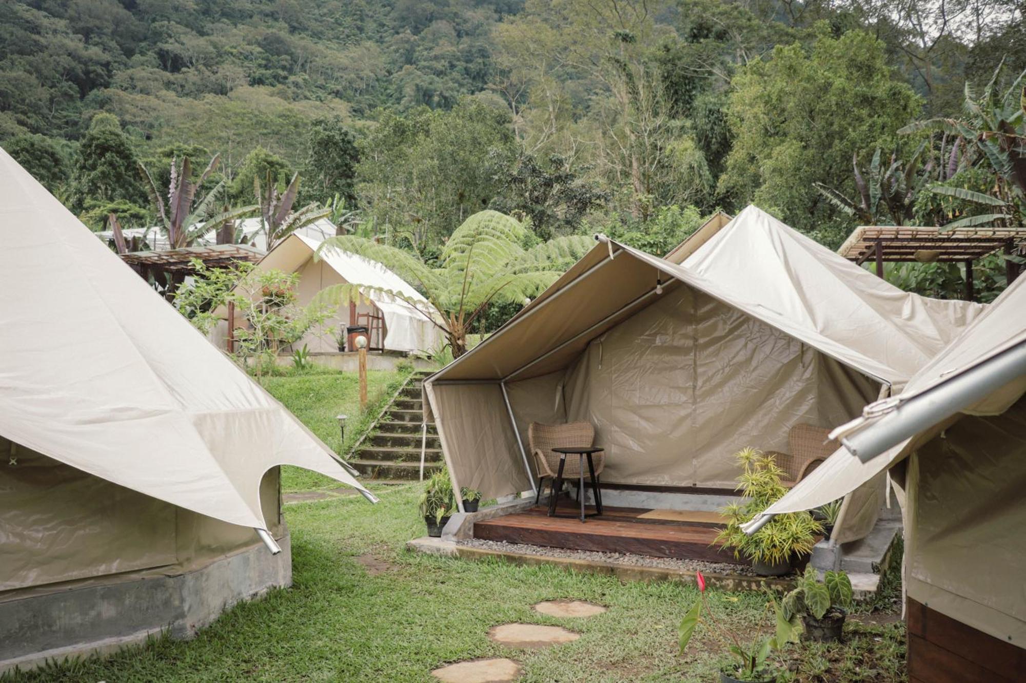 Alamu Eco Luxuszelt Bedugul (Bali)